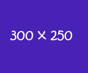 300 x 250 Medium Rectangle