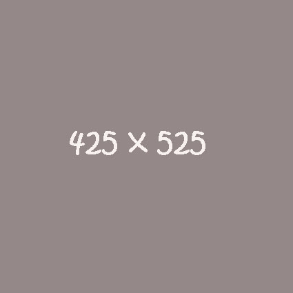 425 x 425 Extra Large Rectangle